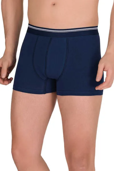 Likralı 1097 Erkek Boxer 3’lü Paket
